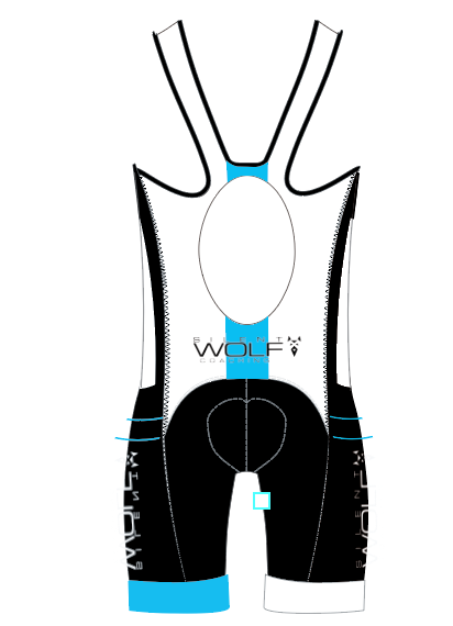 Core trisuit ladies back