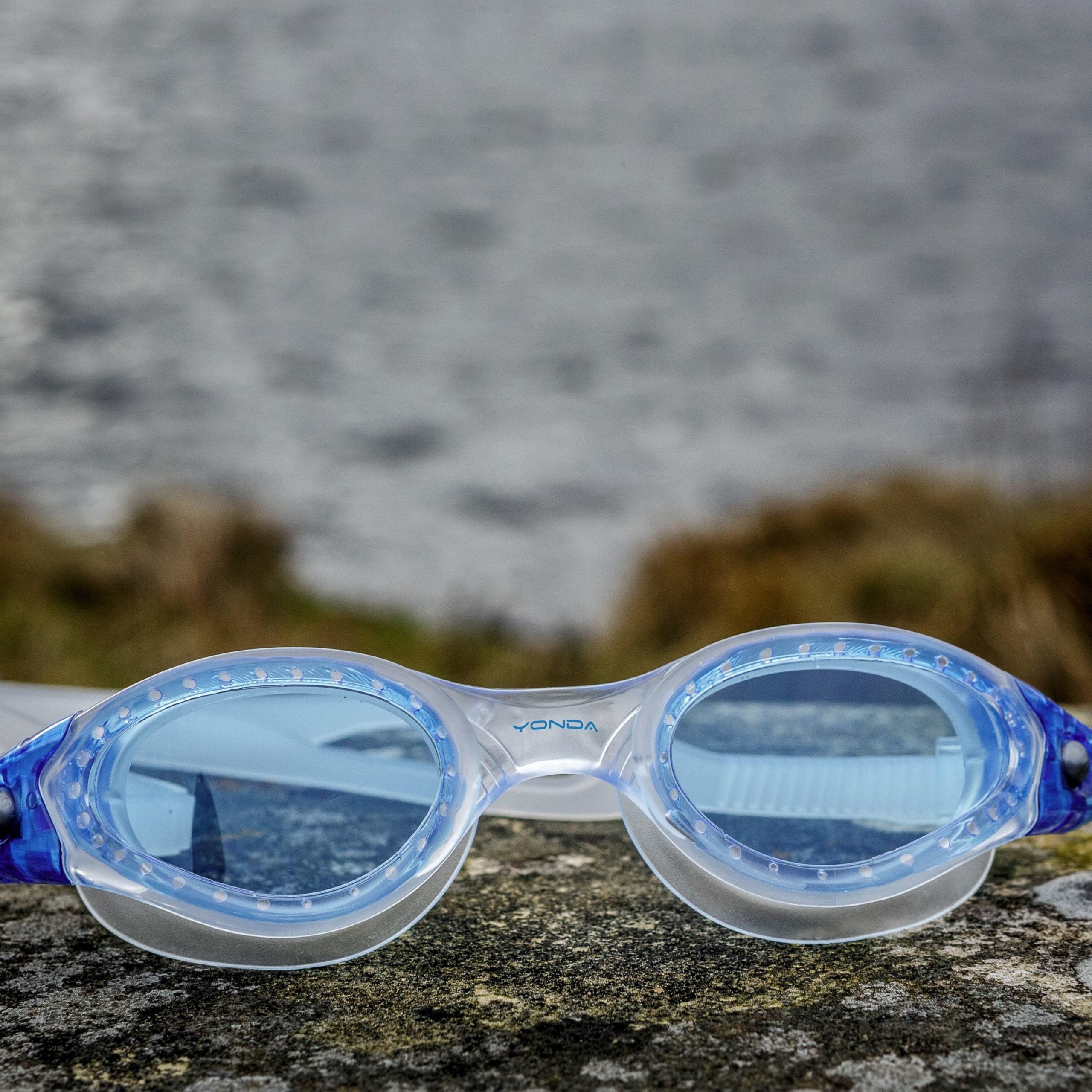 Blue speedo best sale goggles